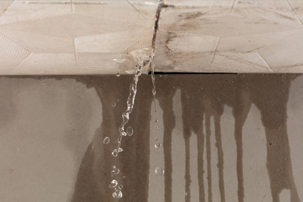 Professional Structural Drying technician working in Munger, MI